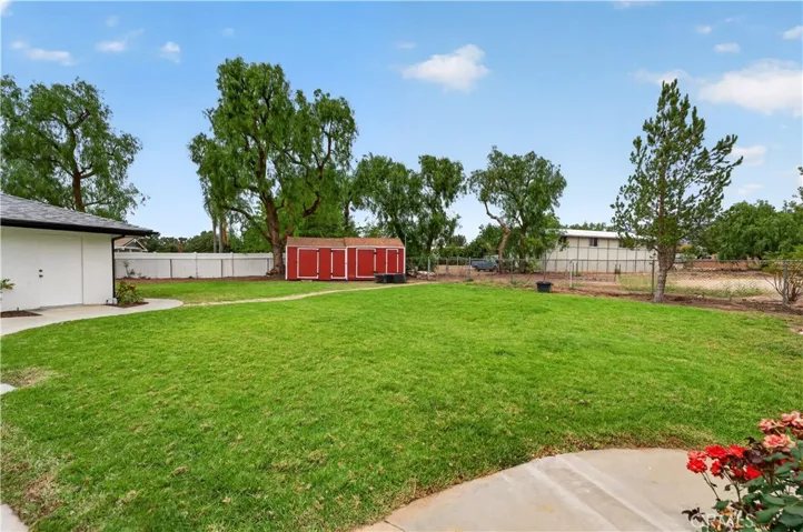 Large usable lawn space