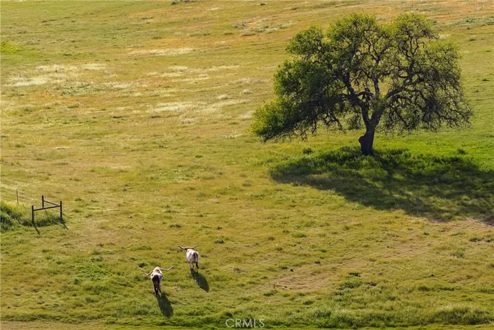 Open pastures for grazing or future agricultural, including a vineyard in the noted El Pomar AVA