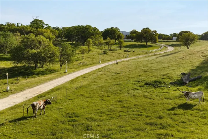 The 82 acres are all usable, gentle rolling hills with a mix of oak tree groves and open pasture areas suitable for agriculture