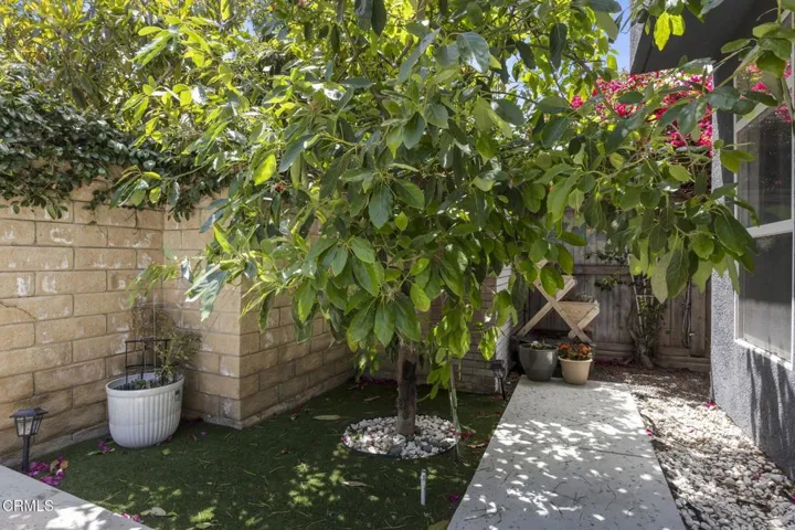 Enjoy the lovely backyard