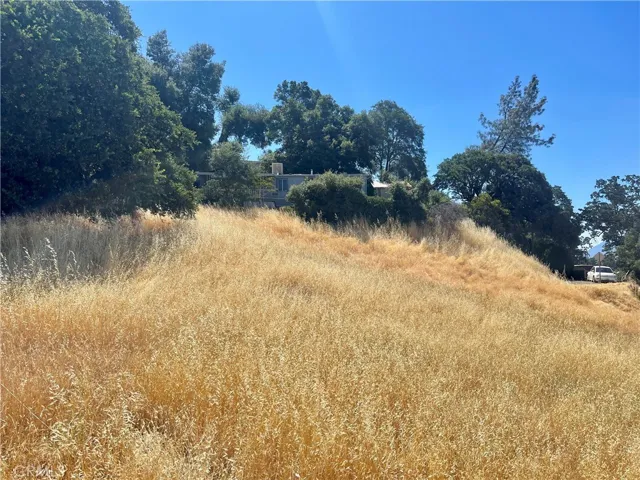7128 Morton Street, Nice, California 95464