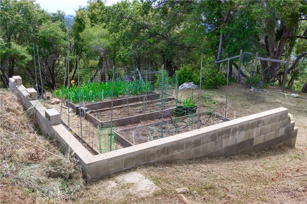 Garden Beds