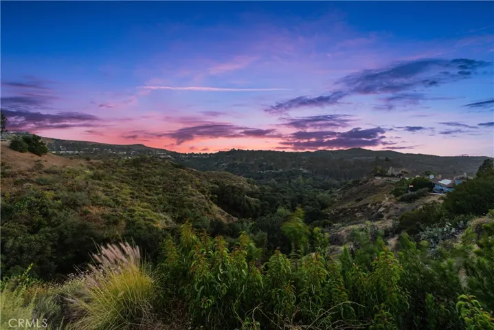 781 S Goldfinch Way, Anaheim Hills, California 92807
