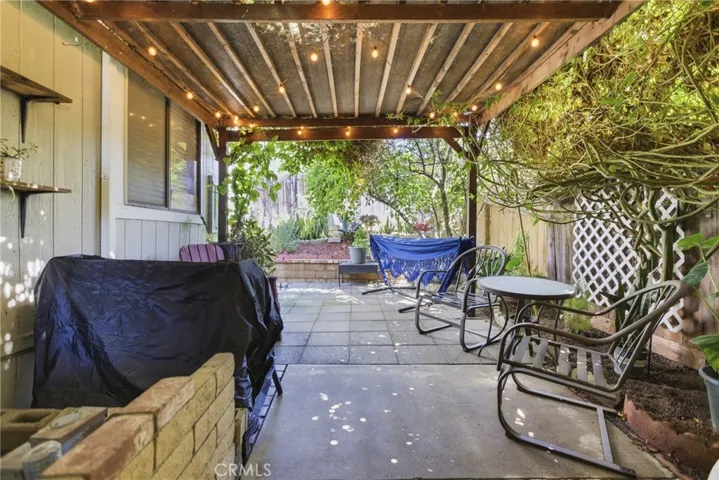 Back yard