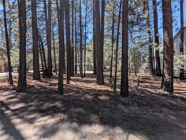 689 Summit Boulevard, Big Bear Lake, California 92315 — photo 5