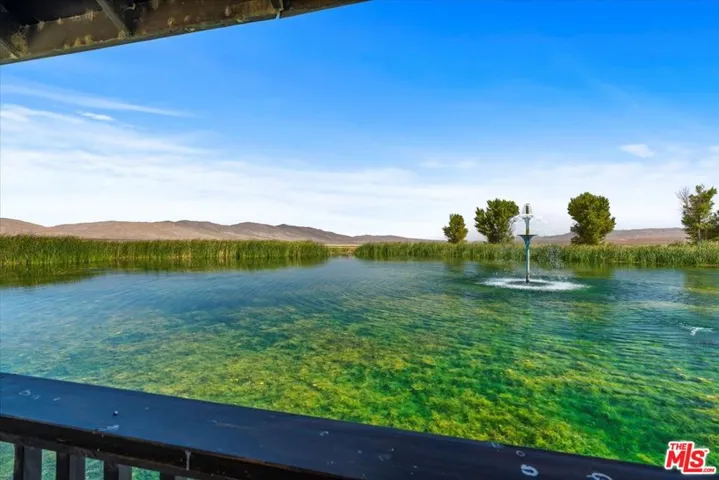 Pond
