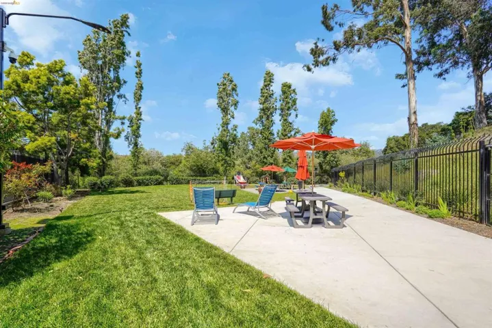Expansive green space featuring a concrete patio, mature trees, and a black wrought-iron fence