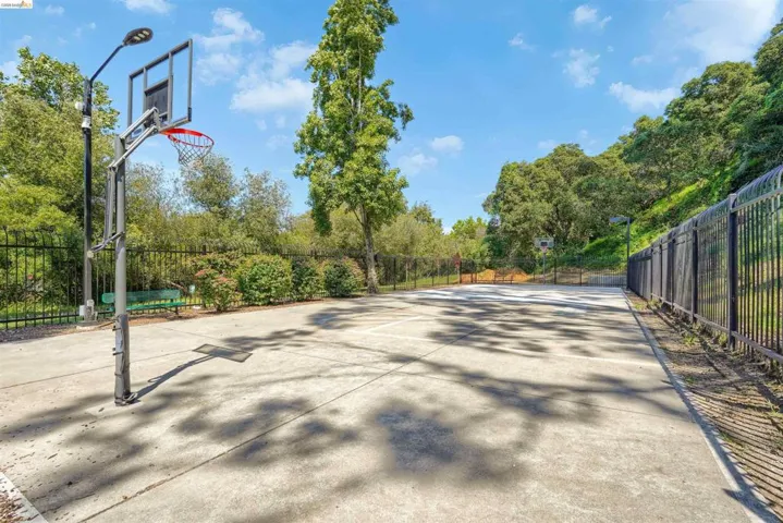 Outdoor concrete court featuring a basketball hoop with a clear backboard, perimeter fencing, established trees, and an integrated light fixture