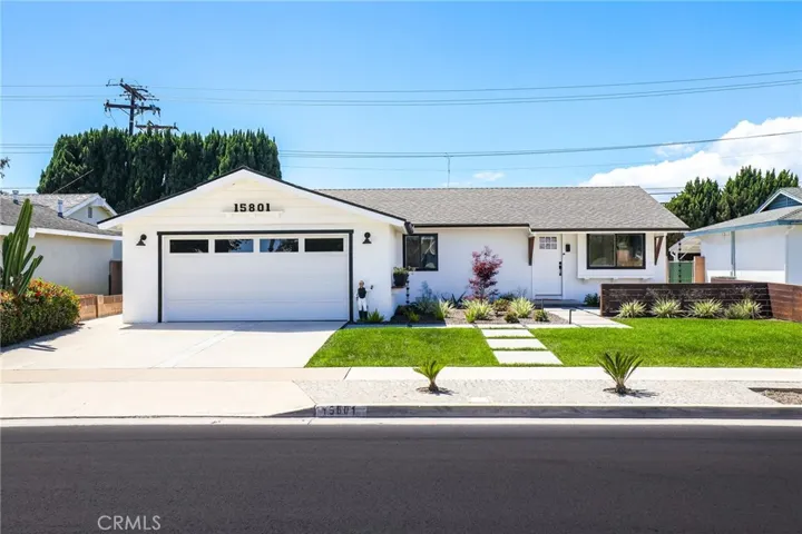 Fresh paved road