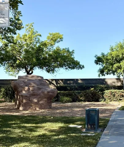 Park down the street with BBQ & Tables
