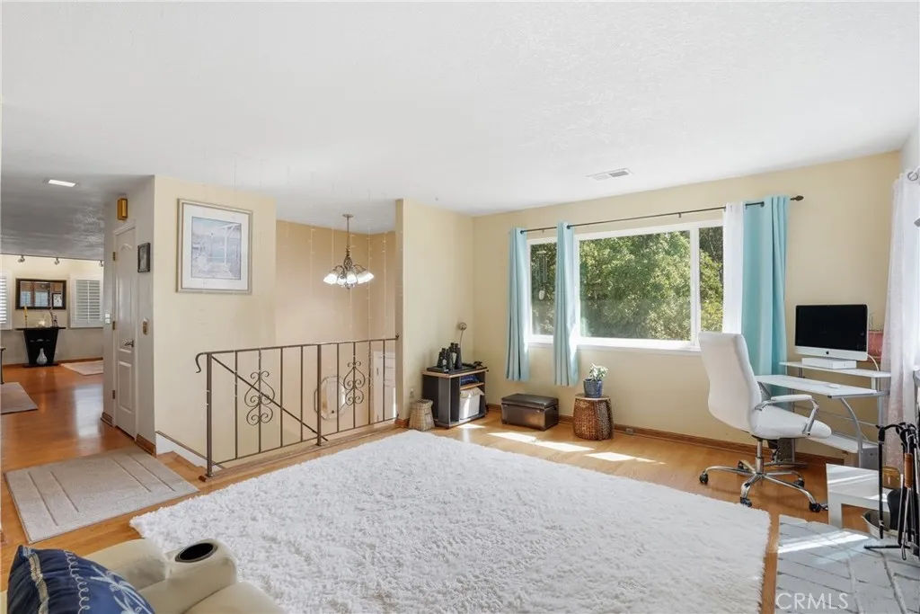 Lots of natural light.