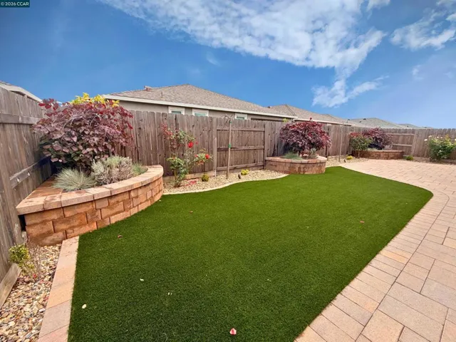 Landscape Backyard