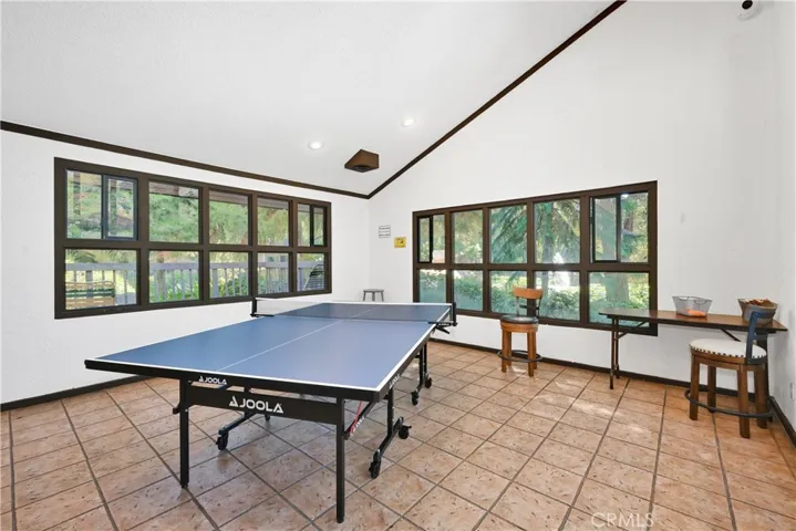Table tennis.