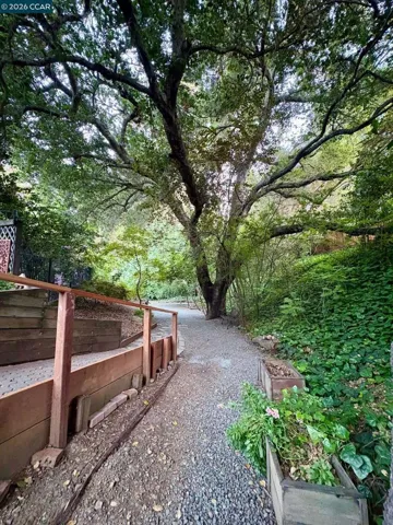 40 Donkey Flats Court, Pleasant Hill, California 94523