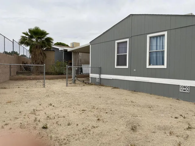 Back Yard2