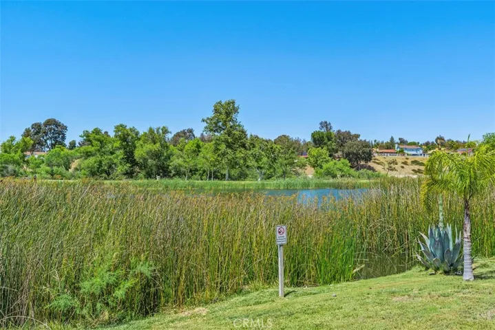 View of Pond