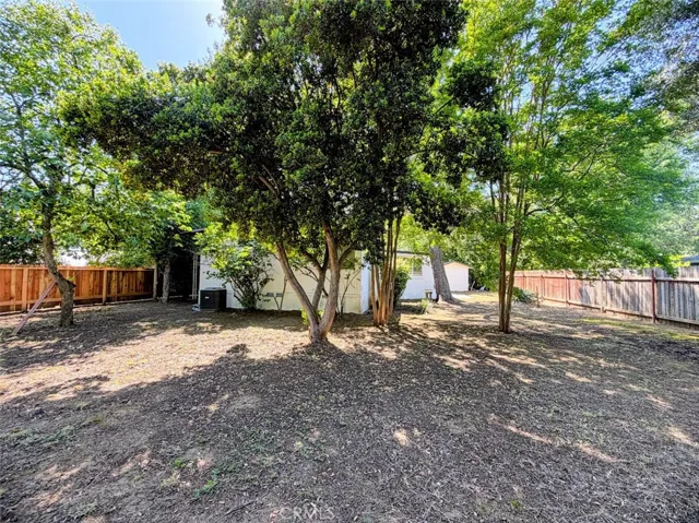 Back yard