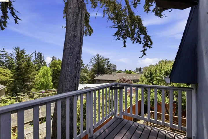 Outdoor deck with wood plank flooring and painted railing overlooking a treed landscape