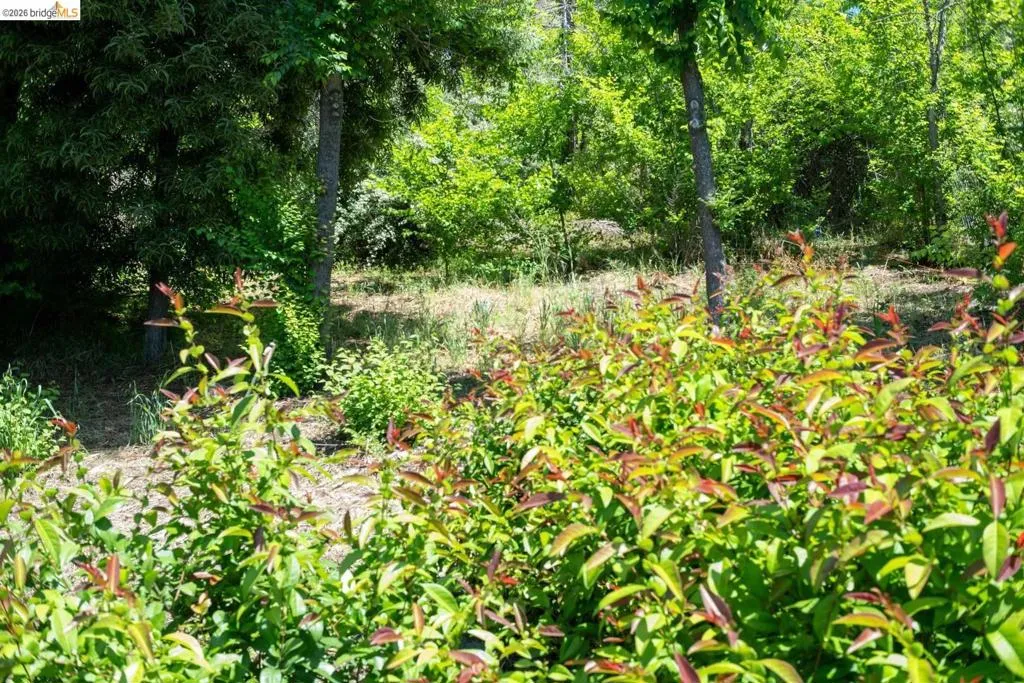 Mature trees and varied foliage create a natural setting