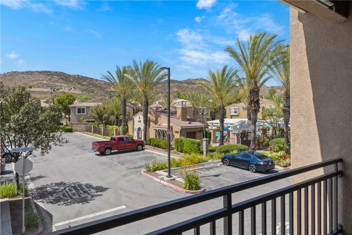 Classic California views of Palm Trees near the community amenities.