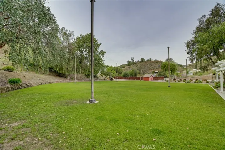 grass area