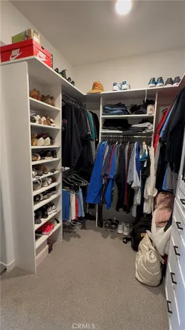 Custom Primary Closet