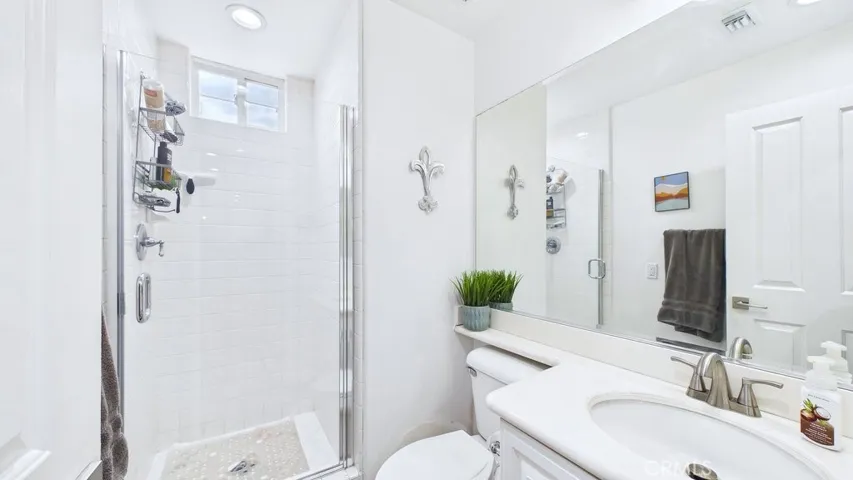 Lower level bathroom