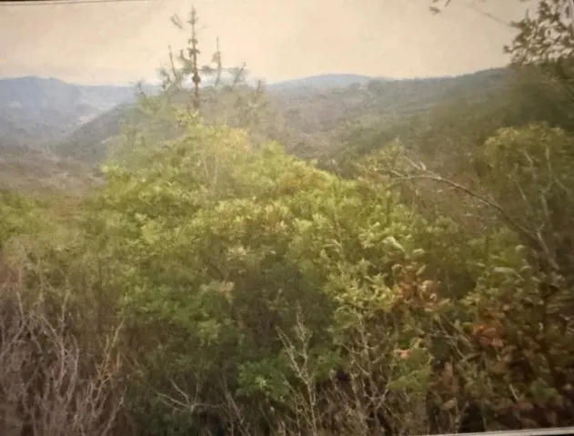 0 Croy Ridge Road, Morgan Hill, California 95037 — photo 4