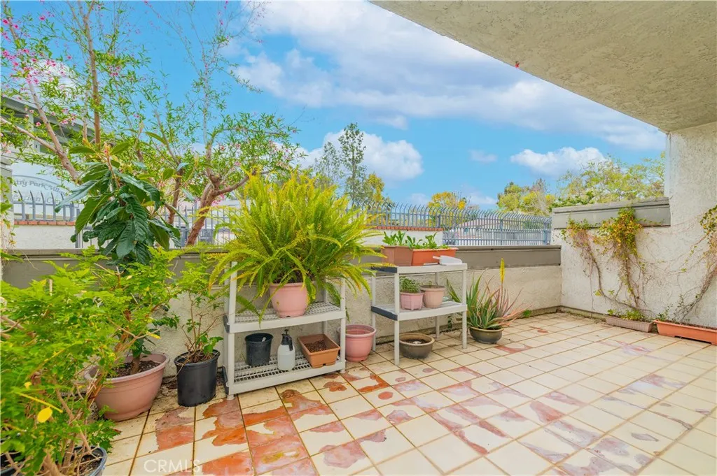 Rear Patio