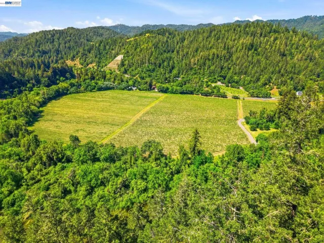 11700 Oak Rd, Forestville, California 95436