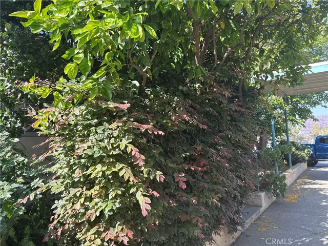 Detached 2 Story with 2 Bedroom Home