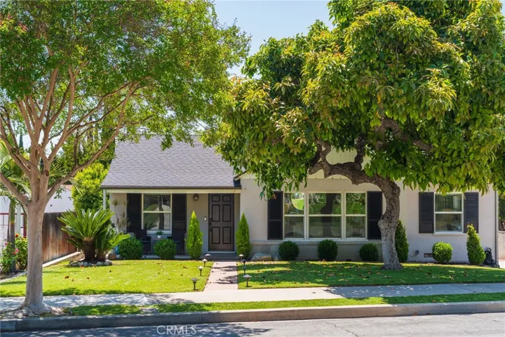 Beautifully manicured front lawn with a large fruitful avocado tree for shade.