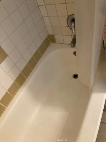 Main bath tub