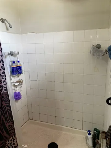 main bedroom bath shower