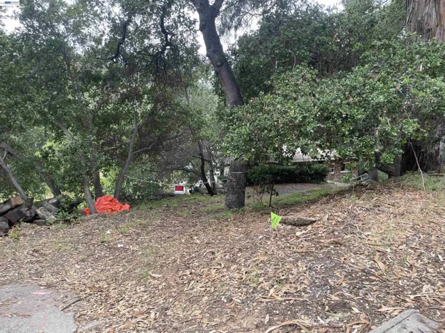 5415 Leona St, Oakland, California 94619 — photo 4