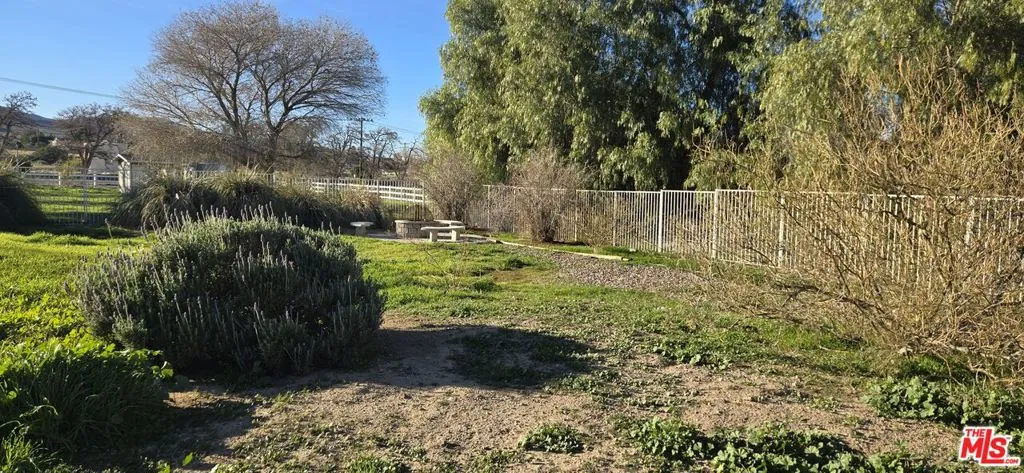 Gated Backyard