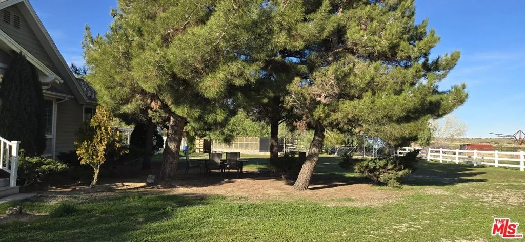 Side Yard