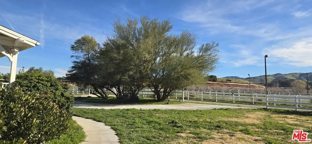 Front Yard