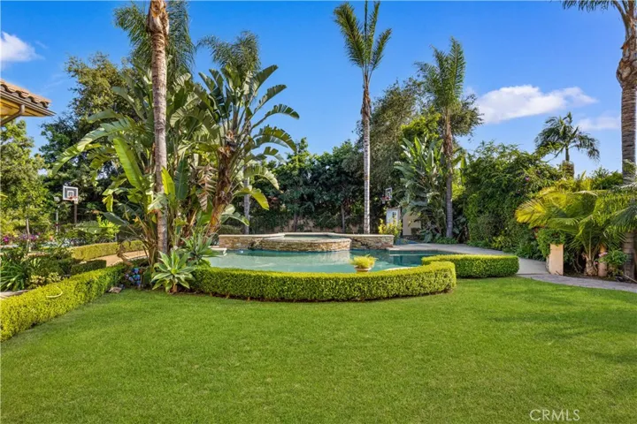 Expansive Backyard Lawn