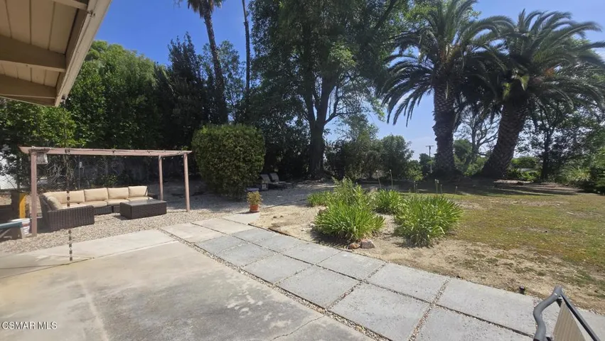 Backyard2