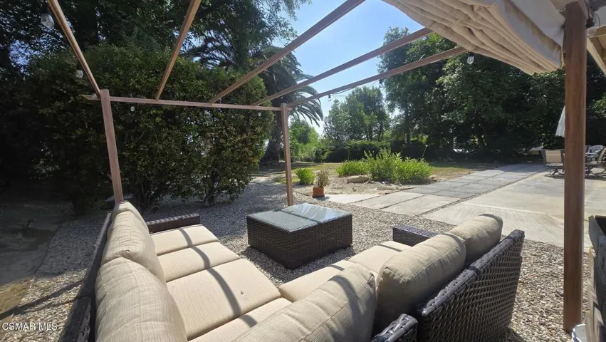 Backyard1