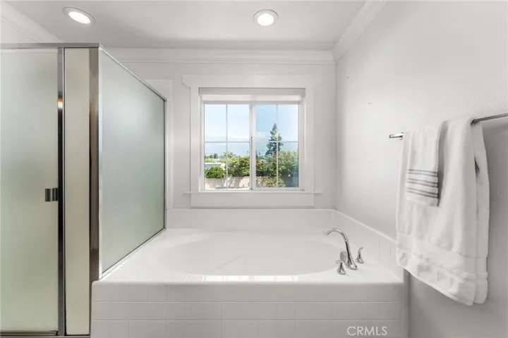 Master Walk-in Shower/Soaking Tub