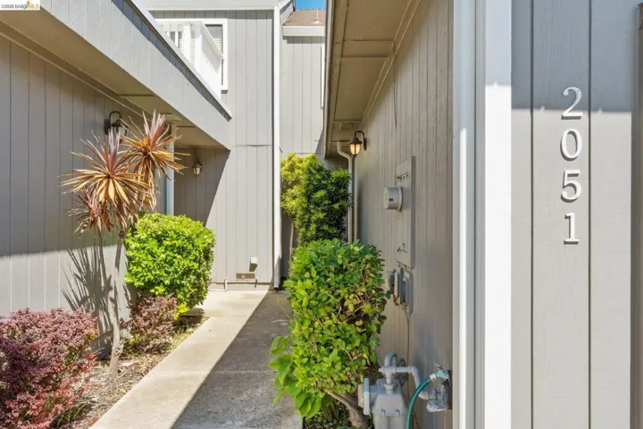 Exterior siding with vertical paneling, featuring contemporary house numbers, a concrete walkway, and established landscaping with various plant species
