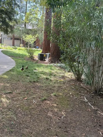 3105 La Terrace Circle, San Jose, California 95123