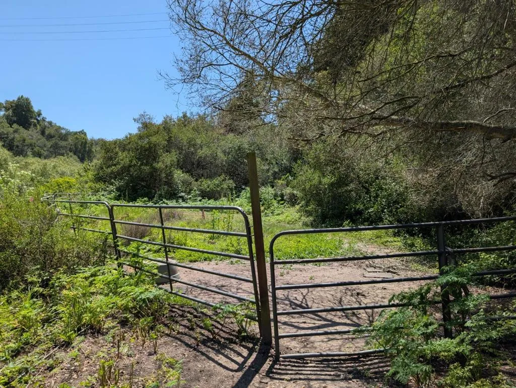 4576 Paul Sweet Road, Santa Cruz, California 95065 — photo 5