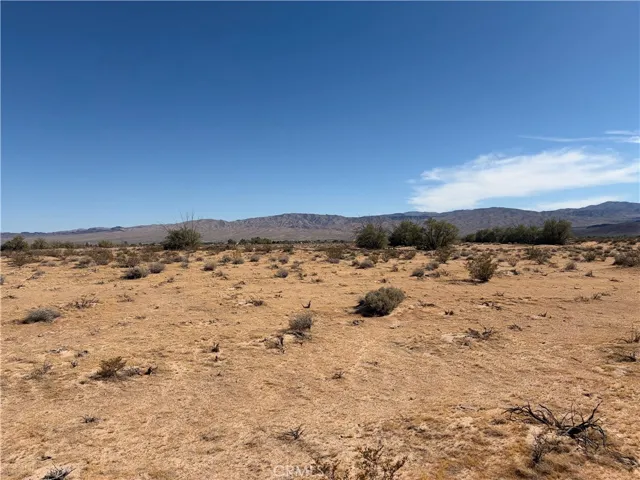 Middle of property facing S