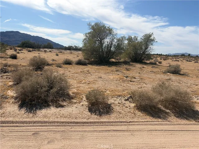 South view NE corner, estimated property line