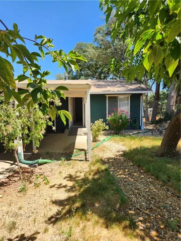 fenced front yard