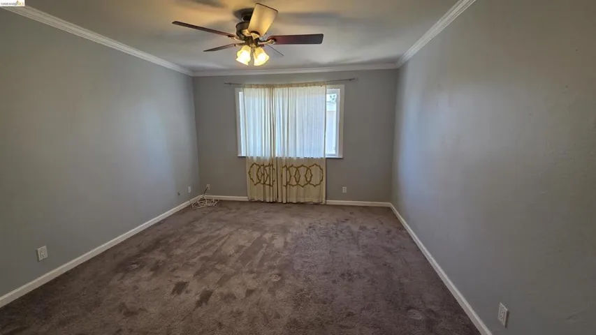 Carpeted room featuring a ceiling fan with light fixture, a window with sheer and patterned curtains, white crown molding, and white baseboards