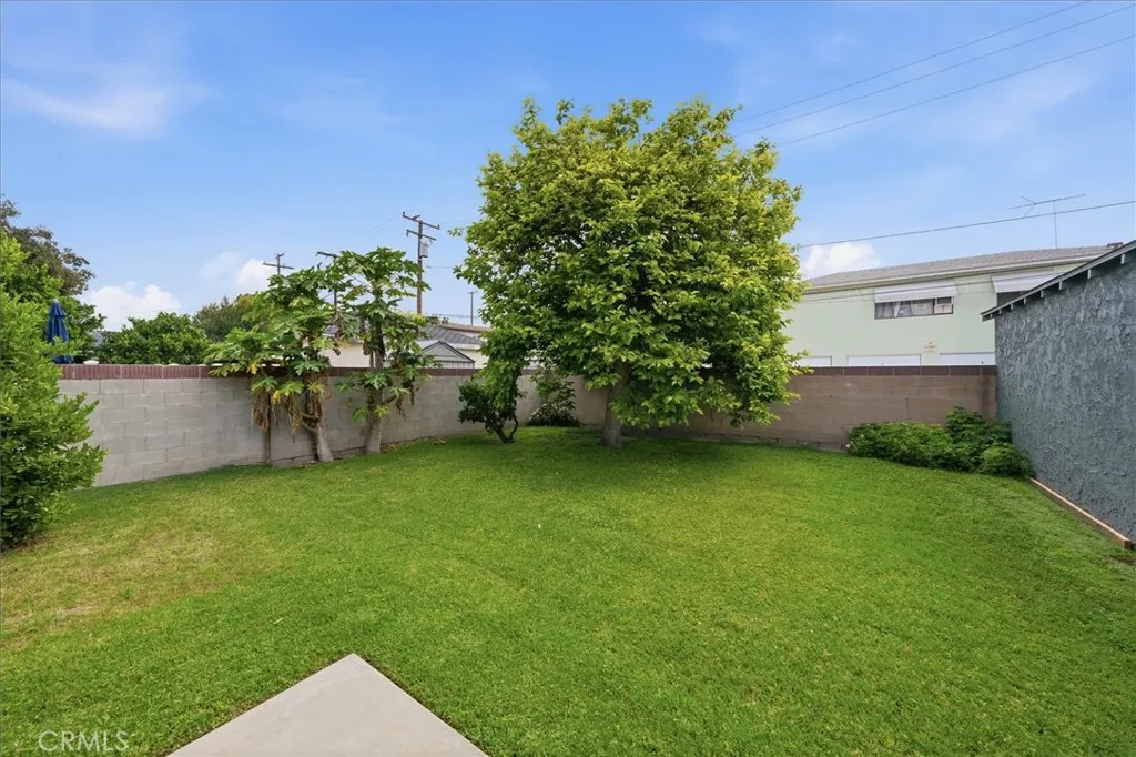 Back yard with mature lemon and persimmon trees